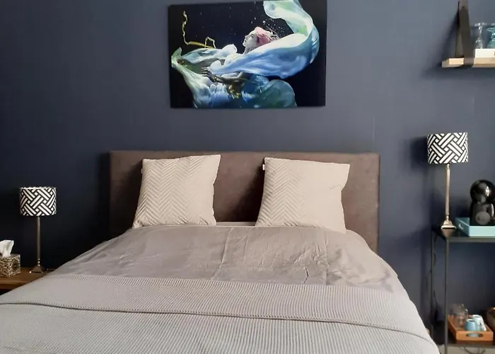 Verzorgde In Monumentenpand Gasthuis Arnhem